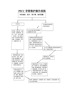 PICC流程图