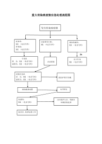 重大传染病疫情应急处理流程图