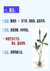 方剂学第七章表里双解剂