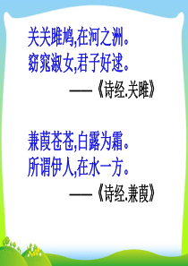 青春期情感主题班会.ppt