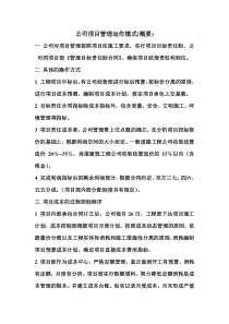 公司项目管理运作模式