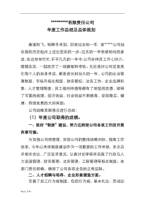 公司年度工作总结及战略规划