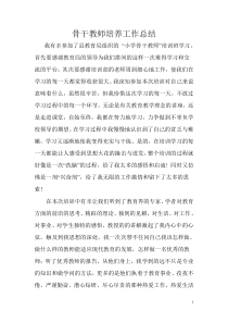 骨干教师培养对象研修总结