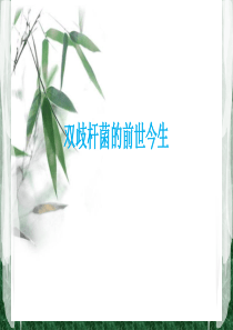 双歧杆菌的前世今生