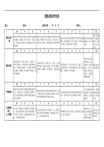 某大型公司团队建设评价表