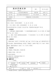 外墙真石漆涂料技术交流