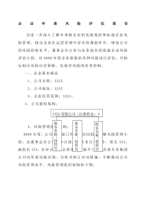 企业风险评估报告