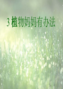 3植物妈妈有办法ppt---公开课