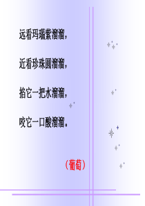 《葡萄沟》ppt课件