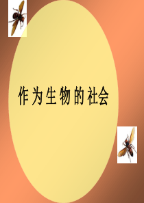 《作为生物的社会》优秀课件