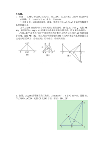 八年级数学上册三角形难题[1]