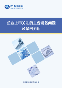 企业上市关注的主要财务问题及案例分析(1)