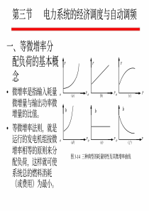 第三节电力系统的经济调度与自动调频