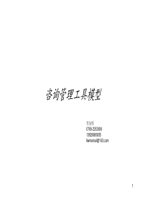 管理咨询工具模型（PDF77页）