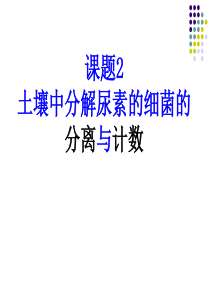 土壤中分解尿素的细菌的分离与计数上课