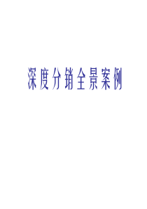 企业深度分销案例