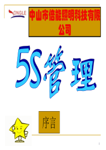 5S管理推行手册