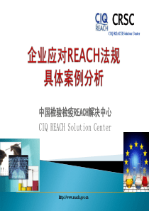 企业应对REACH法规具体案例分析