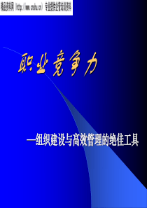 职业竞争力—组织建设与高效管理的绝佳工具（PPT48页）