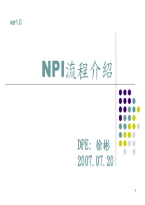 NPI流程