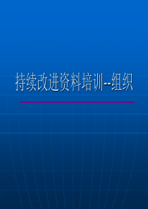 提升领导力经典实用课件组织变革与组织文化(持续改进