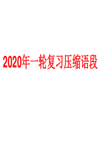 2020年一轮复习压缩语段题