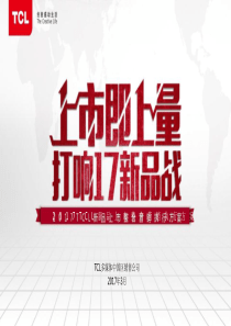 2017-新品上市整合营销执行方案（南宁分公司）（PPT39页）