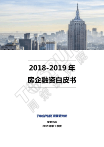 同策20182019年房企融资白皮书2019161页