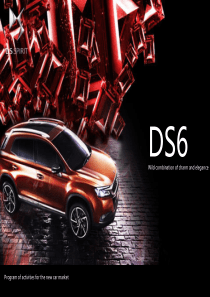 DS6区域上市活动方案