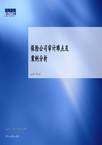 保险公司审计难点及案例分析