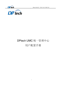 DPtechUMC统一管理中心用户配置手册