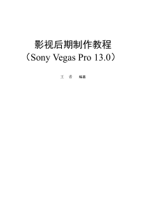 vlog视频后期制作教程Vegaspro130