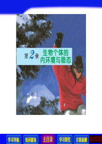 新加坡ZA环保科技商业融资计划书2017