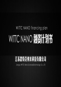 化学处理技术wittcnano江苏微特克纳米科技商业计划书