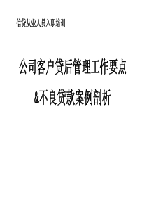 公司客户贷后管理工作要点及不良贷款案例剖析