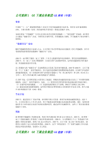 公司案例1GE下属业务集团GE照明（中国）