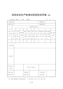 项目安全生产标准化阶段性自评表(表2)