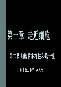 生物高中必修1第一章第二节课件3