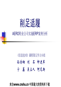 削足适履AERO鞋业公司实施ERP案例分析（PPT 29页）