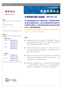 中诚信2019年2月中国固废处理行业特别评论201929页