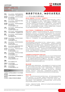 多行业返乡调研报告经济存下行压力细分行业有亮点20190221华泰证券47页