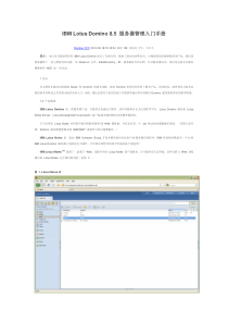 IBM Lotus Domino 85 服务器管理入门手册