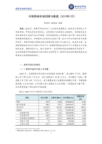 新世纪评级2018年中国债券市场回顾与展望2019年1月2019120页