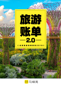 马蜂窝2019全球旅游消费报告2019818页