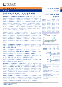 电力设备行业动态分析氢能白皮书发布风光再迎利好20190630安信证券23页