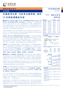 电力设备行业把握春季攻势光伏需求超预期探析19年新能源爆款车型20190218安信证券2