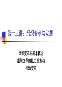 组织变革与发展（PPT26页）