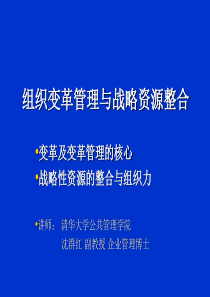 组织变革与资源整合