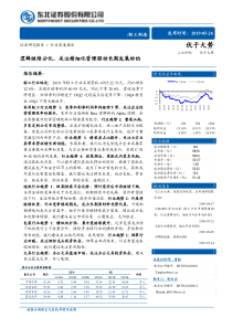 轻工制造行业深度报告逻辑继续分化关注精细化管理驱动长期发展标的20190526东北证券72