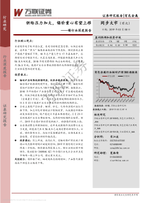 锡行业深度报告供给圧力加大锡价重心有望上移20190308万联证券23页